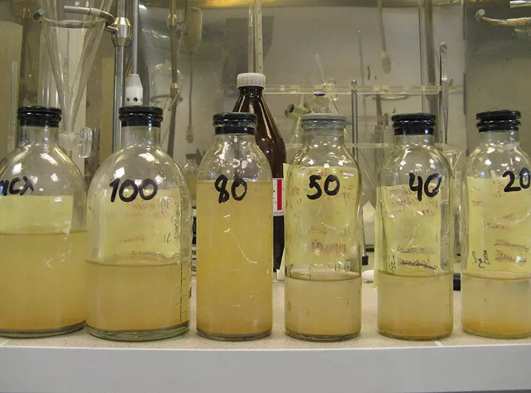 Новая технология очистки сульфат-содержащих сточных вод